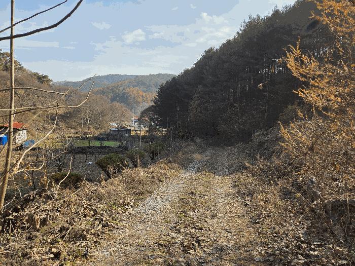 2025타경503797 법원경매 사진8 | 충남 금산군 대지,임야,전답 경매