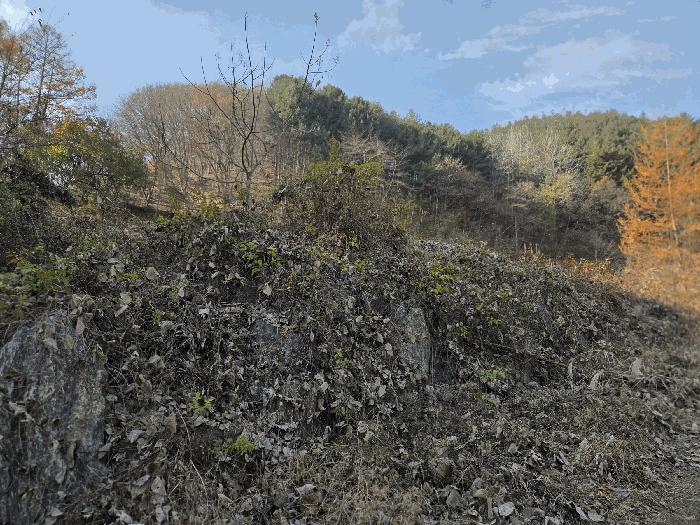 2025타경503797 법원경매 사진9 | 충남 금산군 대지,임야,전답 경매