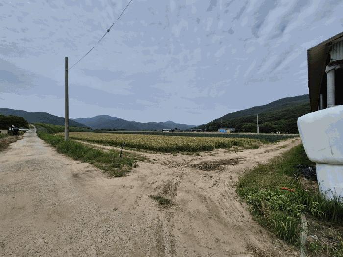 대구광역시 달성군 구지면 도동리 214-8 법원경매 물건 대표사진