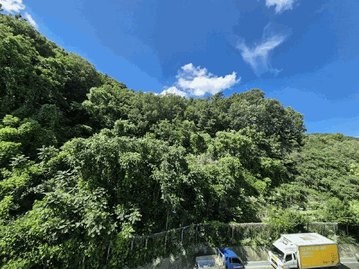 대구광역시 달서구 이곡동 산26 법원경매 물건 대표사진
