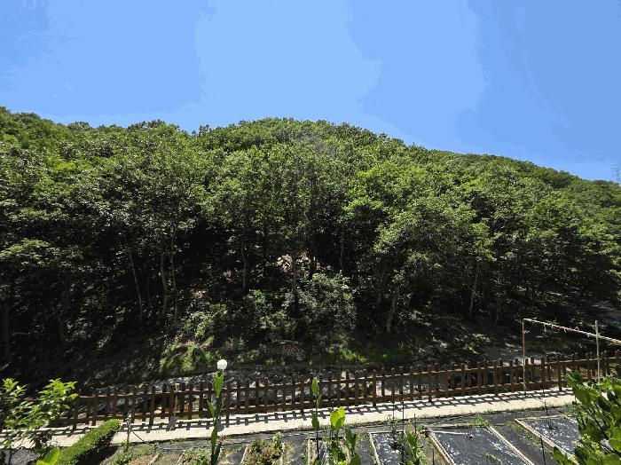 2025타경1172 법원경매 사진2 | 경남 양산시 임야 경매