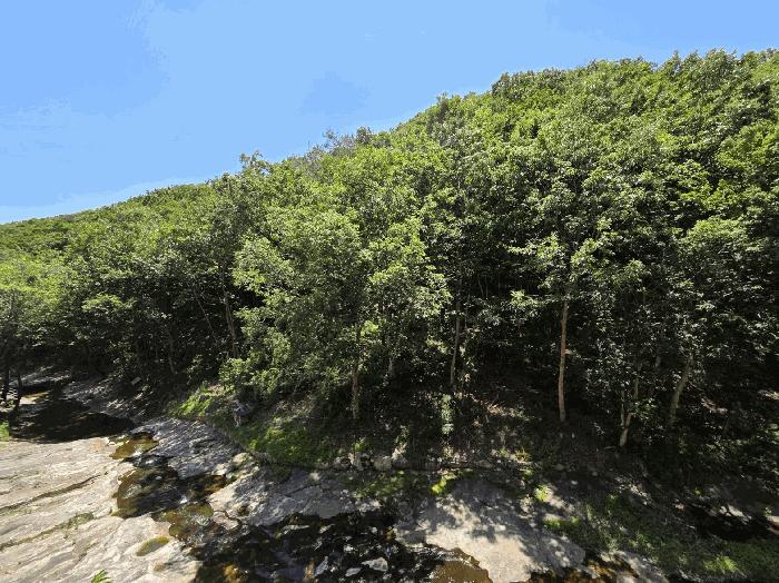 2025타경1172 법원경매 사진8 | 경남 양산시 임야 경매