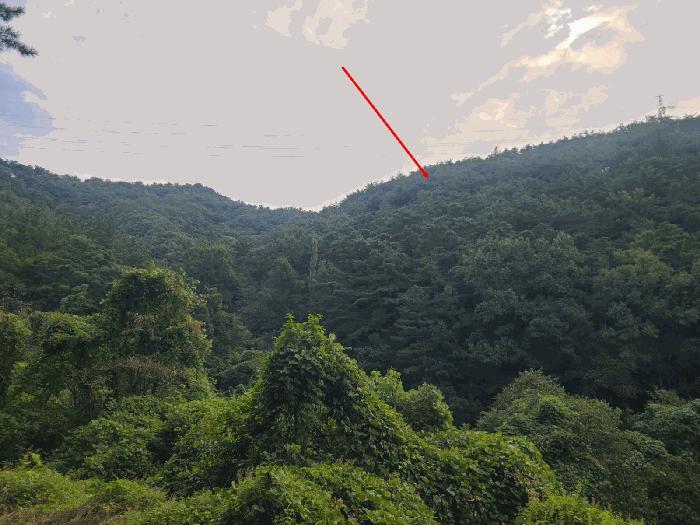 경상남도 창원시 마산회원구 내서읍 상곡리 산24 법원경매 물건 대표사진
