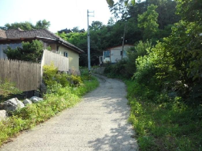 법원경매 2025타경31378 사진14 | 고령군 다산면 주택건물 경매