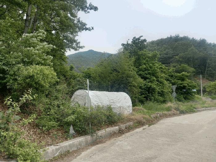 2025타경11748 법원경매 사진3 | 울산 울주군 전 경매