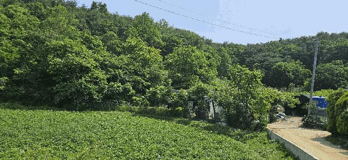 2025타경11867 법원경매 사진4 | 울산 울주군 전 경매