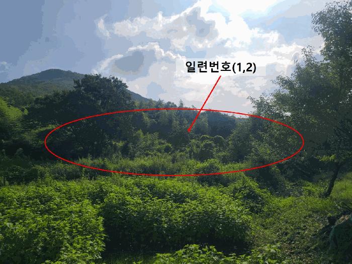 경상남도 창원시 마산합포구 진동면 교동리 259 법원경매 물건 대표사진