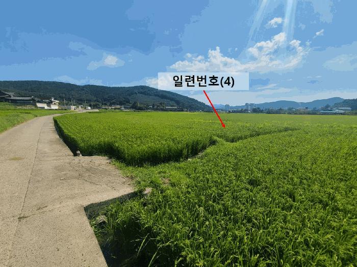 2025타경20825 법원경매 사진3 | 창원 마산합포구 전 경매