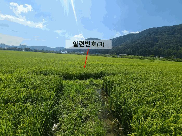 2025타경20825 법원경매 사진5 | 창원 마산합포구 전 경매