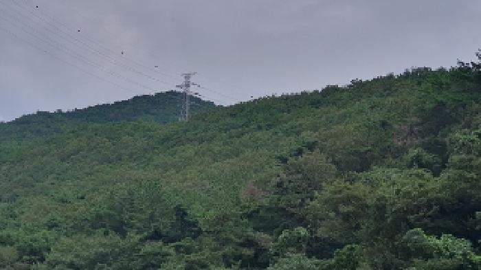 2025타경20830 법원경매 사진10 | 창원 마산합포구 임야 경매