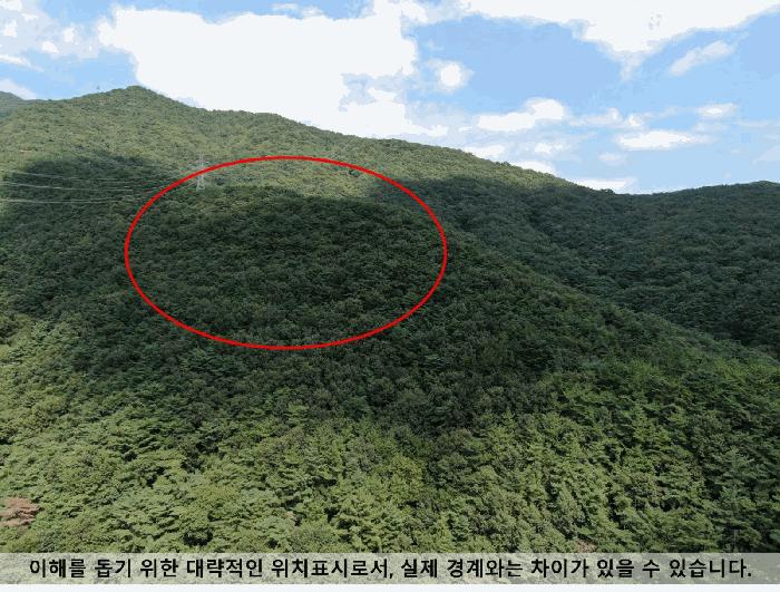2025타경20830 법원경매 사진2 | 창원 마산합포구 임야 경매