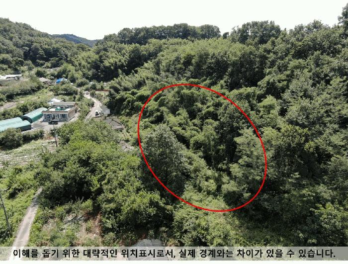2025타경20830 법원경매 사진4 | 창원 마산합포구 임야 경매
