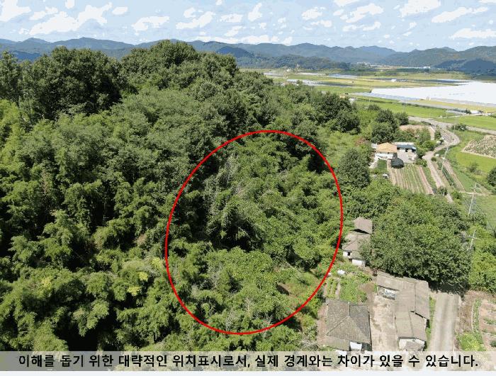 2025타경20830 법원경매 사진8 | 창원 마산합포구 임야 경매