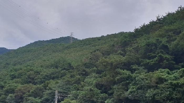 2025타경20830 법원경매 사진9 | 창원 마산합포구 임야 경매