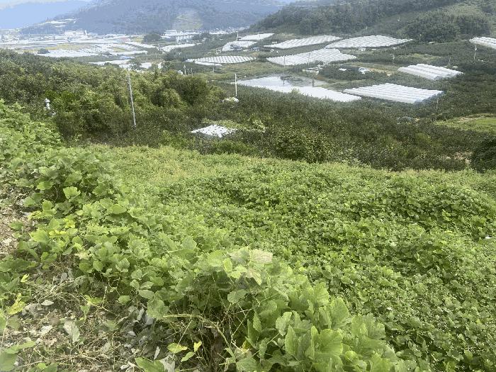 경상남도 함안군 칠북면 이령리 860-2 법원경매 물건 대표사진
