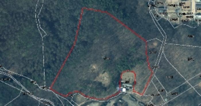 법원경매 2024타경83942 사진10 | 용인시 처인구 양지면 임야 경매