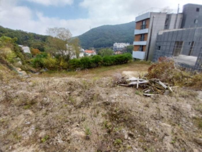 법원경매 2024타경91783 사진19 | 용인시 수지구 고기동 259-184 임야 경매