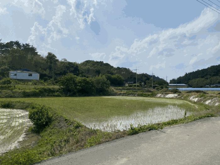경상북도 영천시 청통면 계지리 137 법원경매 물건 대표사진