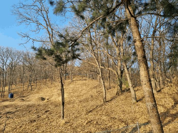 법원경매 2025타경54673 사진2 | 용인시 처인구 유방동 임야 경매
