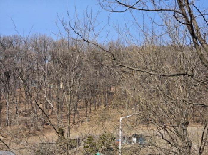 법원경매 2025타경54673 사진6 | 용인시 처인구 유방동 임야 경매