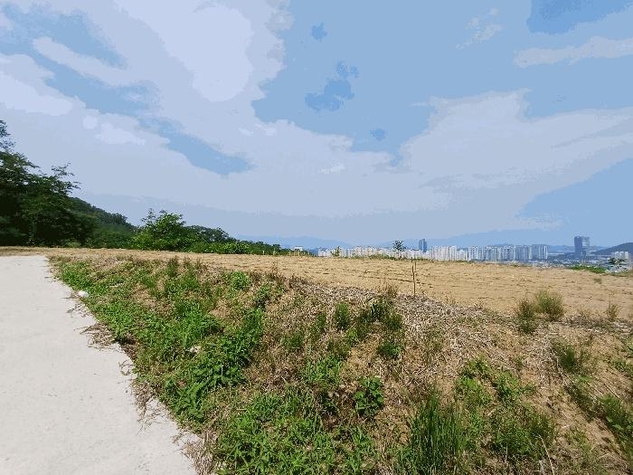 법원경매 2025타경11108 사진5 | 김천시 남면 운남리 771-1 전 경매