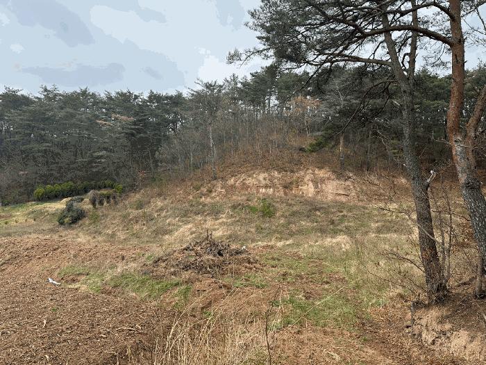 경상북도 영덕군 축산면 도곡리 582-1 법원경매 물건 대표사진