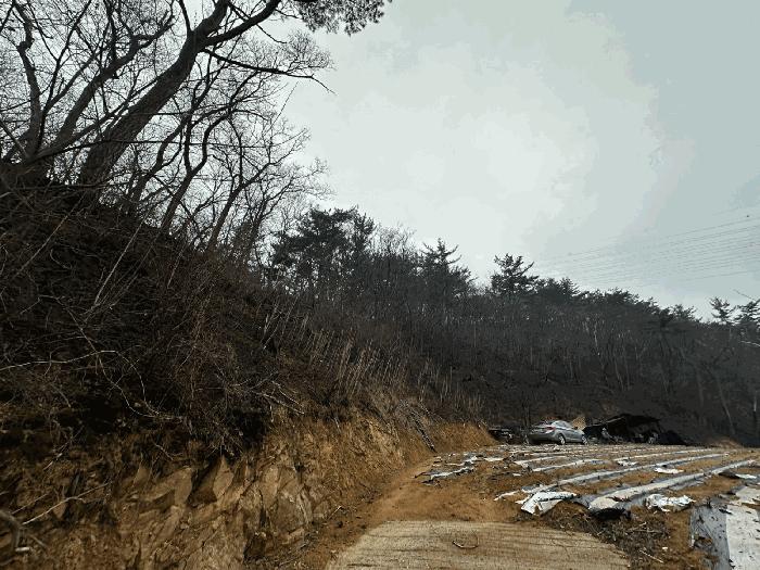 경상북도 영덕군 영덕읍 화수리 산188-1 법원경매 물건 대표사진