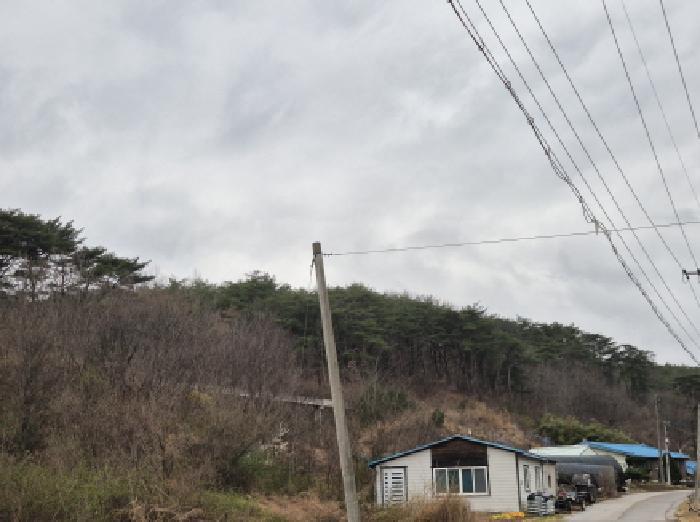 법원경매 2025타경10201 사진3 | 영덕군 축산면 부곡리 임야 경매