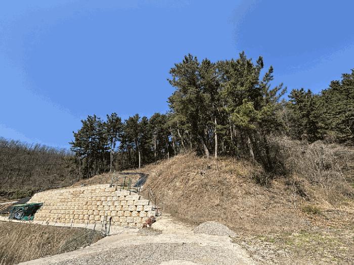 법원경매 2025타경10206 사진2 | 울진군 평해읍 거일리 임야 경매