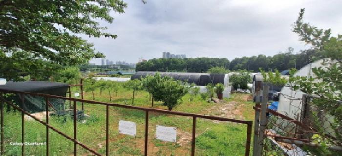 2024타경3291 법원경매 사진21 | 인천 서구 전 경매