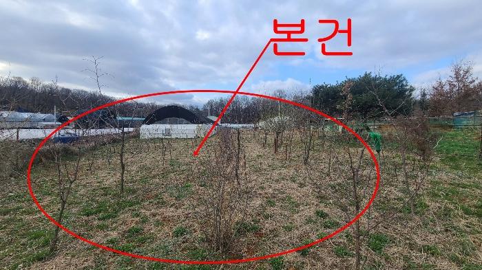 2024타경3291 법원경매 사진3 | 인천 서구 전 경매