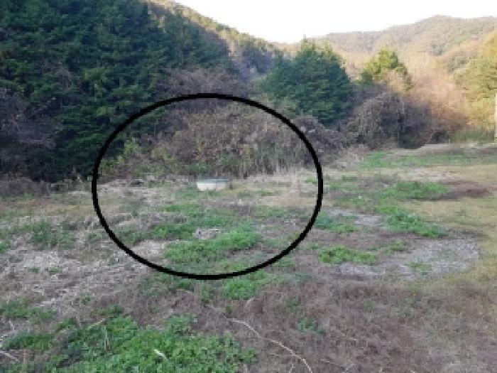 법원경매 2025타경50867 사진27 | 홍천군 서면 굴업리 293-3 숙박시설 경매