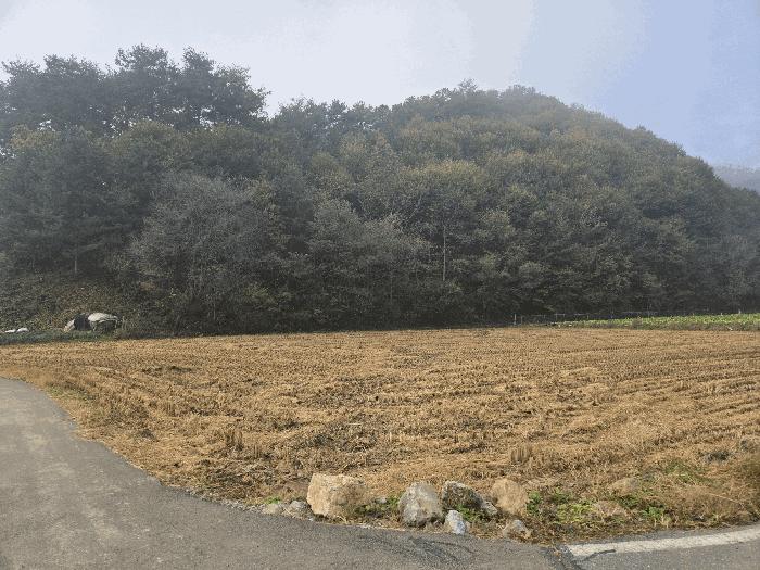 강원특별자치도 홍천군 홍천읍 하오안리 267-1 법원경매 물건 대표사진