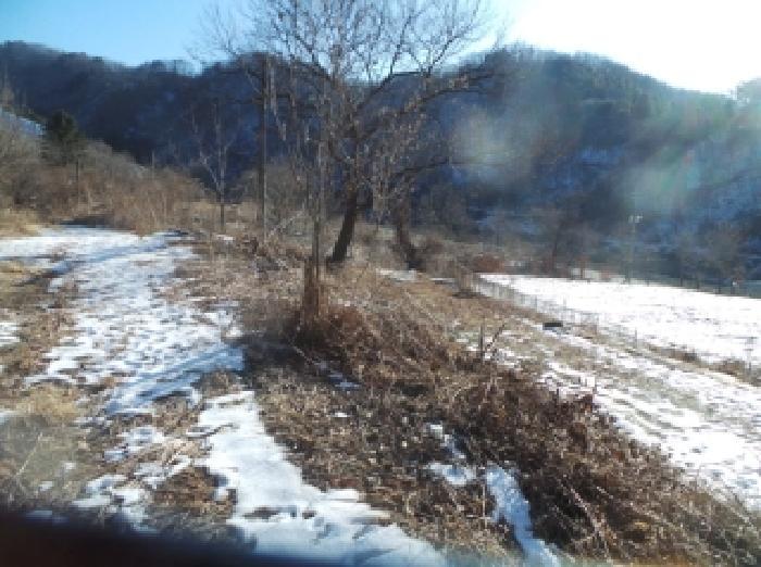 법원경매 2025타경51017 사진20 | 화천군 상서면 임야 경매