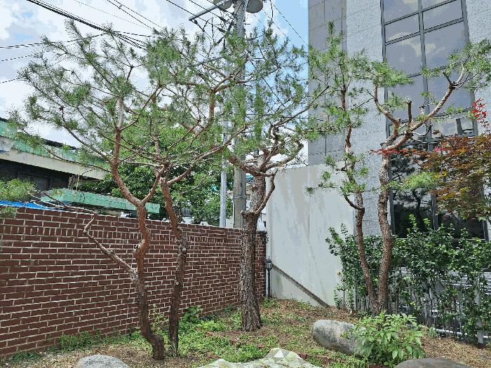 법원경매 2025타경763 사진4 | 원주시 일산동 287-13 주택건물 경매
