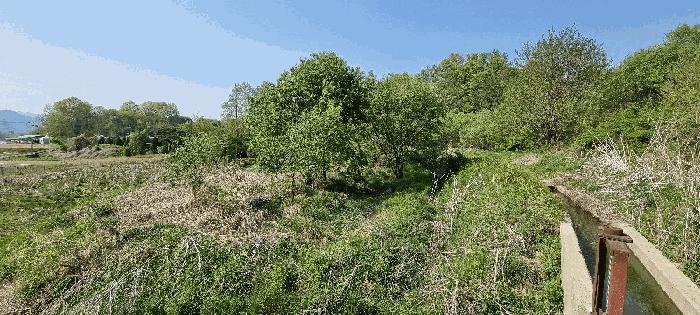 충청북도 충주시 중앙탑면 가흥리 307-2 법원경매 물건 대표사진