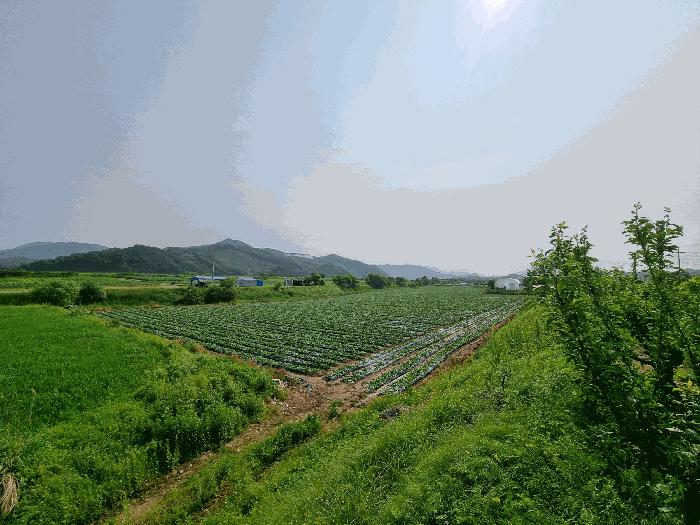 충청북도 충주시 엄정면 목계리 326-12 법원경매 물건 대표사진