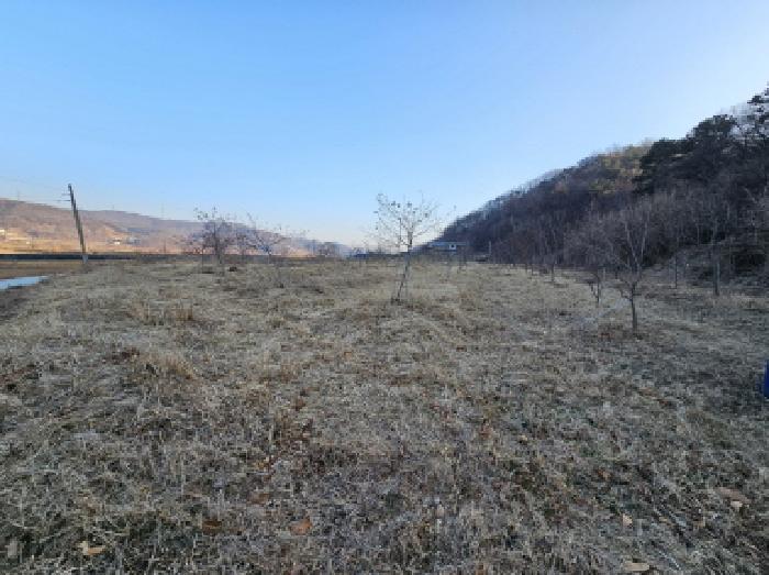 충청북도 충주시 앙성면 강천리 129-3 법원경매 물건 대표사진