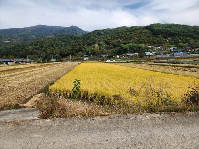 경상남도 산청군 금서면 자혜리 573-18 법원경매 물건 대표사진