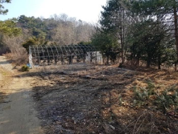 법원경매 2025타경20522 사진20 | 원주시 지정면 신평리 905 주택건물 경매