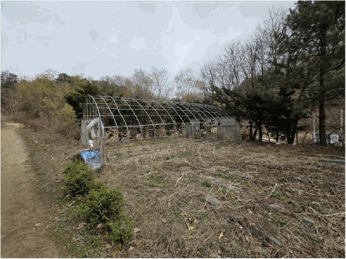 법원경매 2025타경20522 사진8 | 원주시 지정면 신평리 905 주택건물 경매