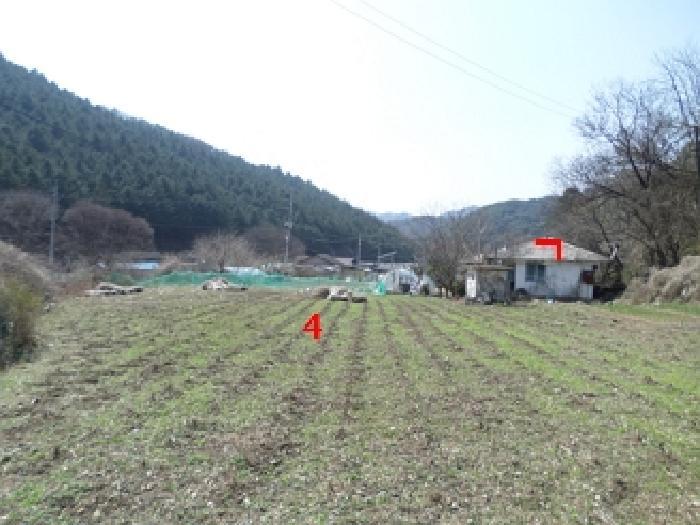 법원경매 2025타경20550 사진9 | 원주시 신림면 성남리 54 전 경매