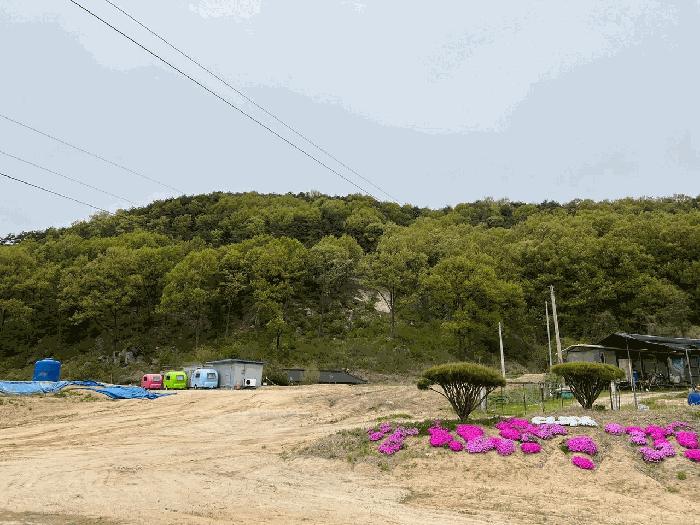 법원경매 2025타경20557 사진6 | 원주시 소초면 흥양리 1415 대지,임야,전답 경매