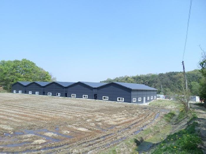 법원경매 2025타경20599 사진22 | 횡성군 횡성읍 반곡리 458-1 근린상가 경매