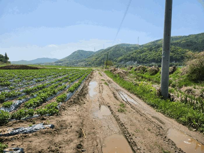 법원경매 2025타경20613 사진3 | 원주시 부론면 정산리 1481 전 경매
