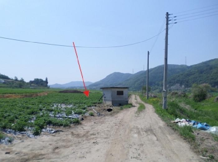 법원경매 2025타경20613 사진4 | 원주시 부론면 정산리 1481 전 경매