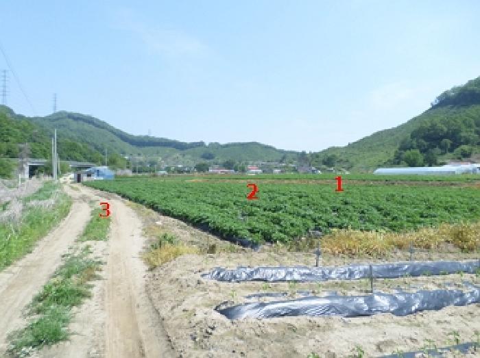 법원경매 2025타경20613 사진5 | 원주시 부론면 정산리 1481 전 경매