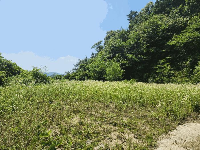2025타경30606 법원경매 사진2 | 충북 음성군 기타 경매