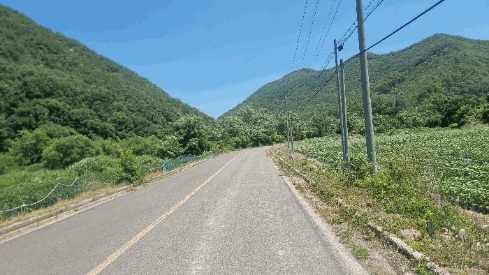 법원경매 2025타경384 사진2 | 포항시 북구 죽장면 하사리 임야 경매