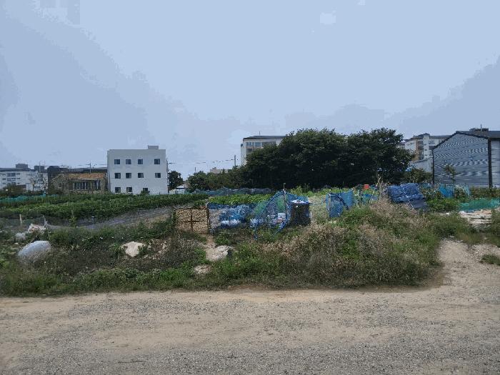 법원경매 2025타경399 사진2 | 포항시 남구 동해면 약전리 448-1 답 경매